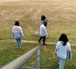 반려동물 기초훈련 운동장 수업