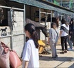 반려동물기초훈련 심화프로그램 1회차 수업