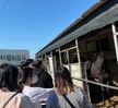 반려동물기초훈련 심화프로그램 1회차 수업