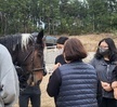 반려동물 기초훈련 심화 프로그램 2회차