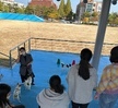 반려동물기초훈련