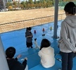 반려동물기초훈련