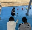 반려동물기초훈련