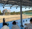 반려동물 기초훈련 운동장 수업