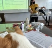 반려동물기초훈련