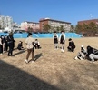 2023학년도 1학기 신입생들의 반려동물행동교정학 첫 수업!