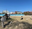 2023.03.27 반려동물훈련 