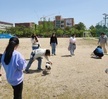 2023.04.17 동물매개치료훈련