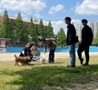 2023.05.01 반려동물행동교정학
