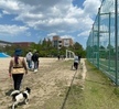 2023.05.01 반려동물행동교정학