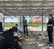 2023.05.15 반려동물행동교정학