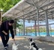 2023.05.15 반려동물행동교정학