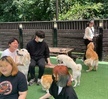 2023.05.17 기초동물보건학 현장수업
