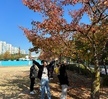 2023.10.30 반려동물기초훈련
