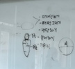 반려동물의상실습
