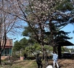 코디포토학의 야외수업
