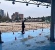 6주차 동물훈련수업