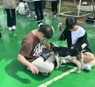 7주차 동물훈련