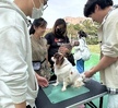 7주차 동물훈련