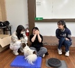 12주차 훈련수업