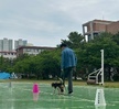 13주차 강아지훈련수업
