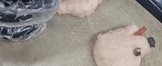 <2주차>반려동물수제간식