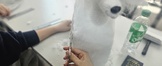 반려견 중급미용 수업 