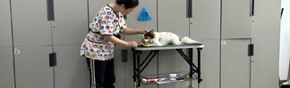 2023.09.15 반려동물기초훈련
