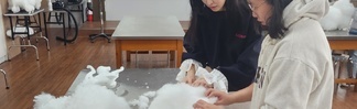 2023.10.19 반려견고급미용