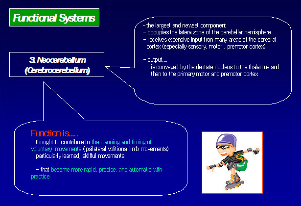 functional system