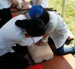 2015.05.02 제 15회 기북 건강새마을 산나물 축제
