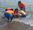 7.16~8.15 영덕 장사해수욕장 안전요원 활동