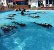 SSI Openwater, Advance 자격증 취득
