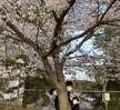  Sister&Brother 벚꽃 사진 대회(2021.04.09)