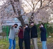  Sister&Brother 벚꽃 사진 대회(2021.04.09)