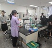 단체사진