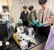단체사진