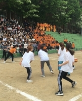 체육대회
