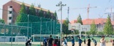 2018 간호학부 대동제 체육대회 