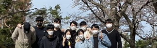 벚꽃피는 캠퍼스