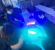 2025학년도 경찰보안무도과 경상북도 경찰청 견학 
